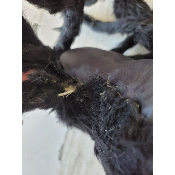 Large fuzzy black red eye tarantula Halloween prop scary spider - Picture 5 of 6